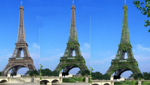 Vue de la Tour Eiffel recouverte de la peau de Ginger, au fil de la croissance des plantes